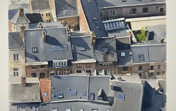 ai_paint_rue_haute_marcelle_17_5000_namur_belgien.png
